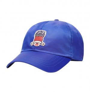 Avirex Icon Hat Hoeden Heren Blauw | GNUST-8375