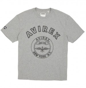 Avirex Stadium Tee Tees Heren Grijs | EQFVT-1067